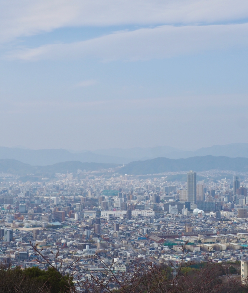 高台からみえる広島の街並み